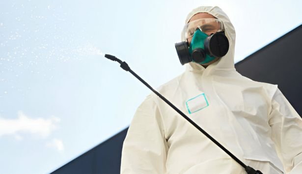 Pest Control Mccrae